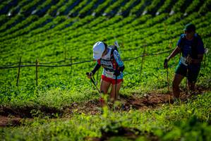 BIB: 
                            <button type="button" onclick="openModal(19160858)" class="btn btn-primary btn-sm float-right btn-popup" data-toggle="modal" data-target=".modal-high-quality">
                        <i class="fas fa-shopping-cart"></i> Add to Cart
                    </button>
                                            <button type="button" onclick="isThisMe(19160858, true)" class="btn btn-success btn-sm float-right btn-popup btn-isme hidden" data-toggle="tooltip" data-placement="bottom" title="นี่คือรูปของคุณใช่ไหม คลิกที่นี่เพื่อเอาเข้าอัลบั้ม">
                        <i class="fas fa-plus"></i> Add to album
                    </button>
                    <button type="button" onclick="isThisMe(19160858, false)" class="btn btn-warning btn-sm float-right btn-popup btn-isnotme hidden">
                        <i class="fas fa-ban"></i> Remove from album
                    </button>